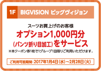 ビッグヴィジョン