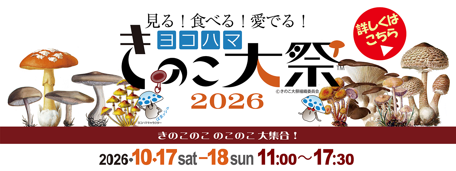 きのこ大祭2026